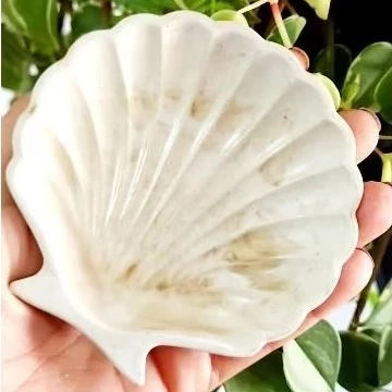 Bandeja-Porta-Joias-Concha